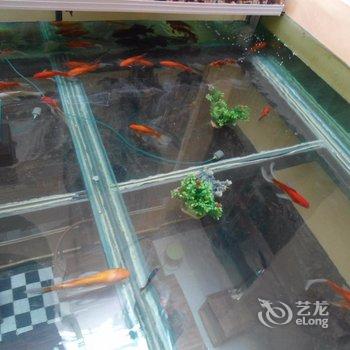 楚雄双柏鄂嘉华芳快捷酒店酒店提供图片