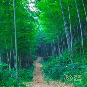 溧阳南山竹海静雅别院度假酒店酒店提供图片