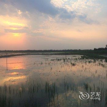 白洋淀圣腾庄园农家院酒店提供图片