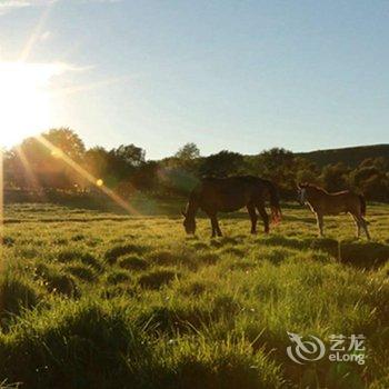 沽源天鹅湖红房子客栈酒店提供图片