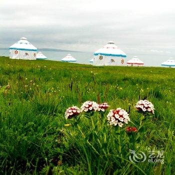 青海湖丝绸之路梦幻之旅度假村酒店提供图片