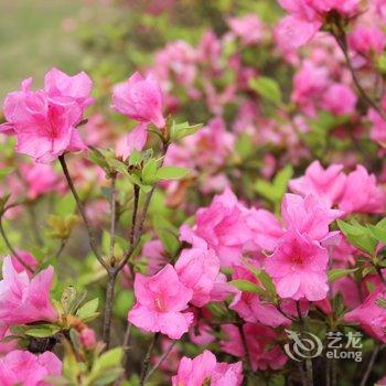 上饶三清山天龙山大酒店酒店提供图片