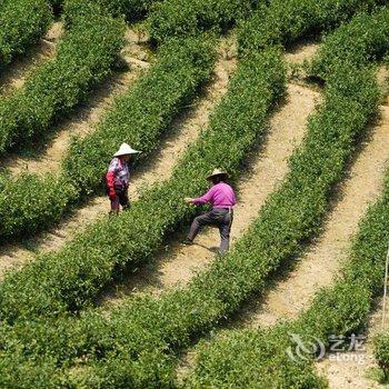 安吉清风寨山庄酒店提供图片