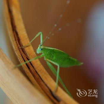 安吉清风寨山庄酒店提供图片