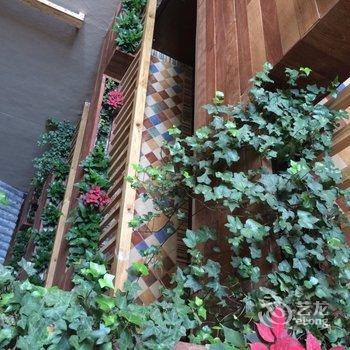 成都城市绿岛酒店(宽窄巷子店)酒店提供图片