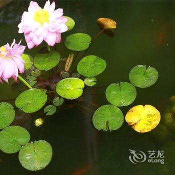 大理古城飞洱湾六如精品民宿酒店提供图片