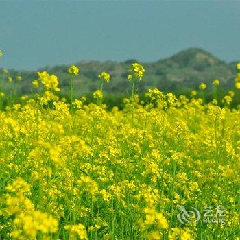 围场战友农家院酒店提供图片