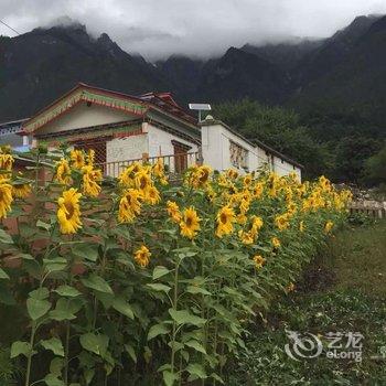 波密悠游道国际青年旅舍酒店提供图片