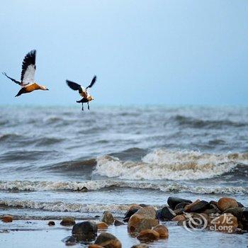 青海湖黑马河阳光客栈酒店提供图片