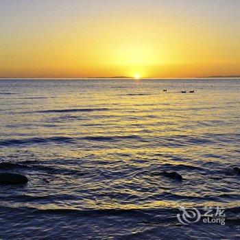 青海湖黑马河阳光客栈酒店提供图片