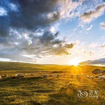 青海湖黑马河阳光客栈酒店提供图片