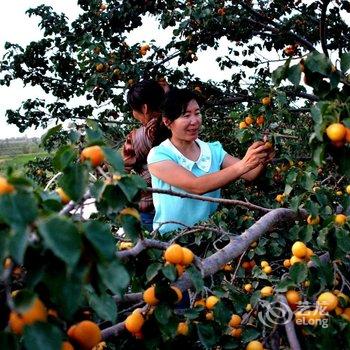 敦煌漠上客风格客栈酒店提供图片