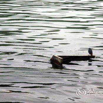 凤凰城青年旅舍酒店提供图片