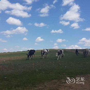 沽源天赐山庄酒店提供图片