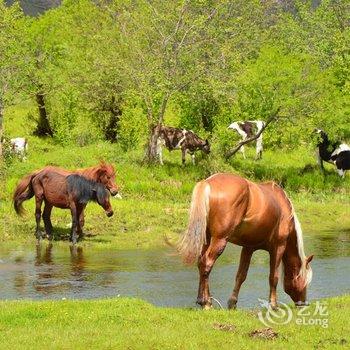 额尔古纳恩和牧场国际青年旅舍酒店提供图片