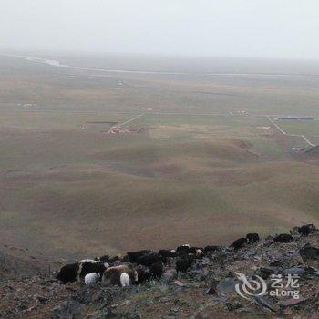 青海湖鸟岛金轮假日山庄酒店提供图片