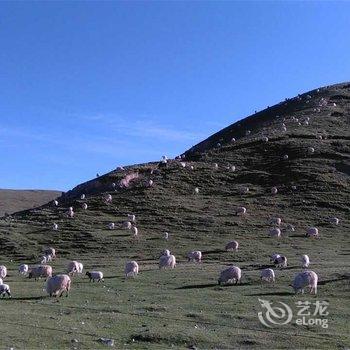 青海湖扎西德吉帐房宾馆酒店提供图片