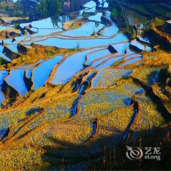 元阳云稻酒店酒店提供图片