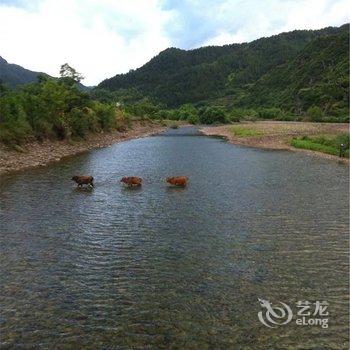 台州仙居麦穗居民宿酒店提供图片