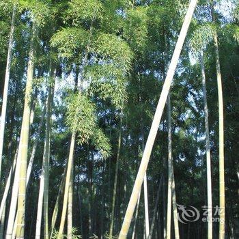 德清莫干山织梦家酒店提供图片