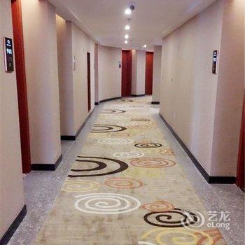 高安维也纳铂金酒店酒店提供图片