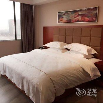 高安维也纳铂金酒店酒店提供图片