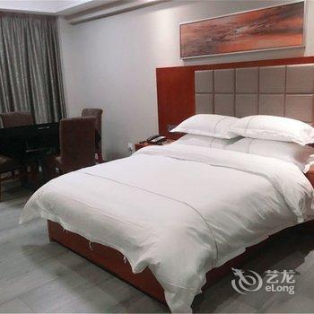 高安维也纳铂金酒店酒店提供图片