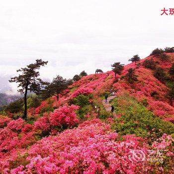 青岛半岛蓝湾海景度假公寓(青岛市黄岛区胶南灵山湾度假区那鲁湾店)酒店提供图片