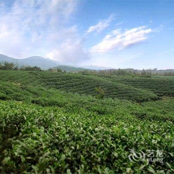 句容容北茶谷酒店酒店提供图片