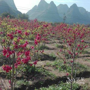 阳朔花浓居(十里画廊店)酒店提供图片