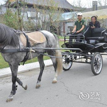 鄂尔多斯邦成马术俱乐部酒店酒店提供图片