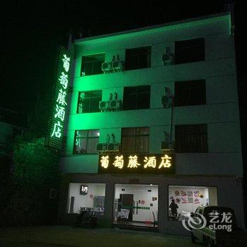 黄山葡萄藤酒店酒店提供图片