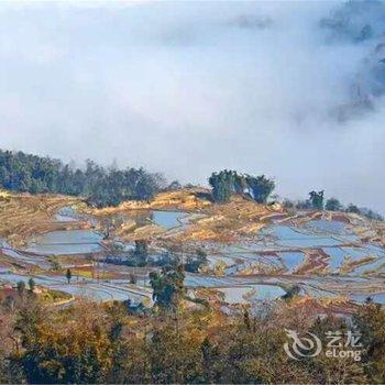 元阳缘梦居客栈酒店提供图片