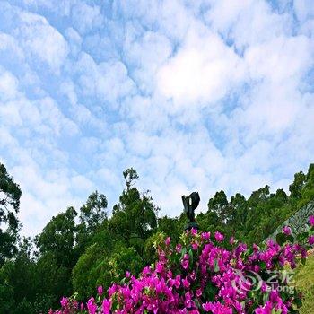 北海涠洲岛花满庭蓝调海景客栈用户上传图片