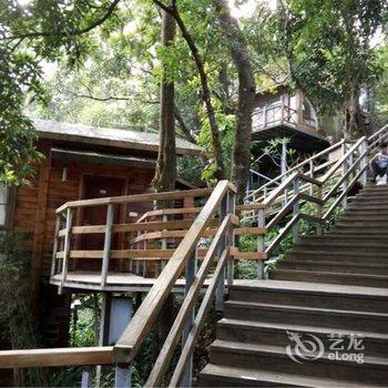 从化流溪河国家森林公园酒店酒店提供图片