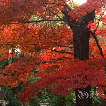 扬州萃园城市酒店酒店提供图片