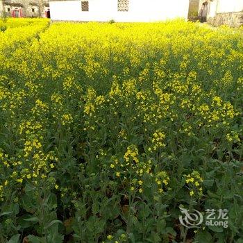 西递甜缘客栈酒店提供图片