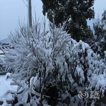 德清后坞村墨竹山庄用户上传图片