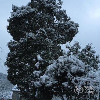 德清后坞村墨竹山庄用户上传图片