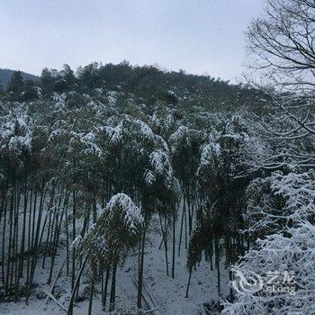 德清后坞村墨竹山庄用户上传图片