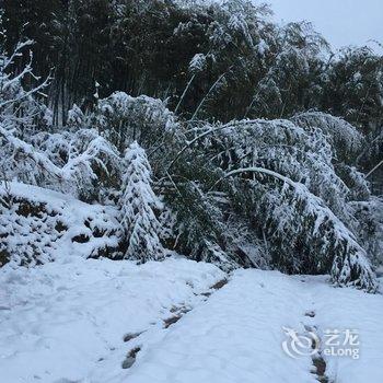 德清后坞村墨竹山庄用户上传图片