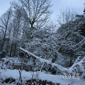 德清后坞村墨竹山庄用户上传图片