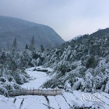 德清后坞村墨竹山庄用户上传图片