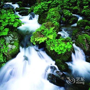 毕节黔西吉隆索风湖私人会所酒店提供图片