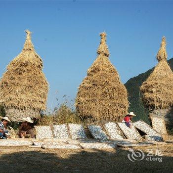 松阳寨头摄影休闲园农家乐酒店提供图片