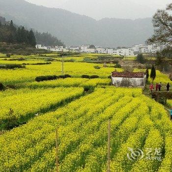 婺源江岭菜花园客栈酒店提供图片