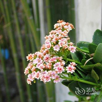 扬州四喜小院精品客栈酒店提供图片