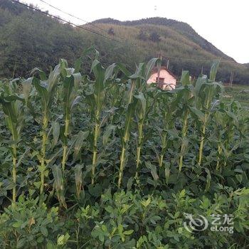 莫干山轩轩之家酒店提供图片