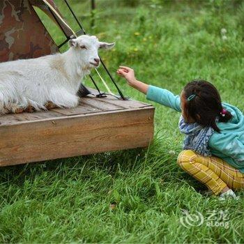 额尔古纳拉布大林草原深处蒙古部落酒店提供图片