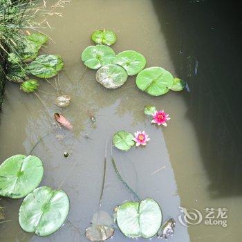 西塘百度生态农庄酒店提供图片